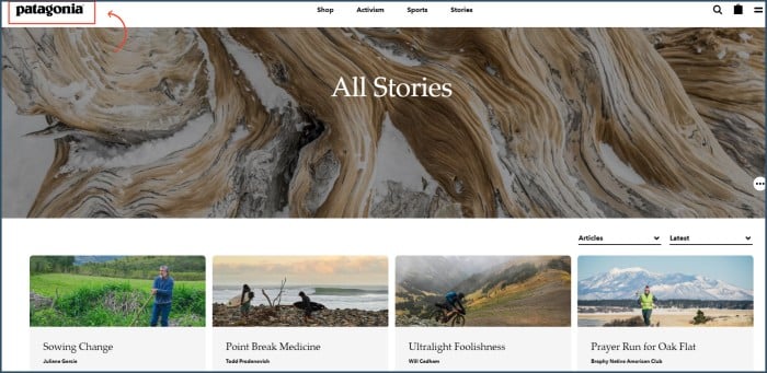 Website content writing as used by Patagonia